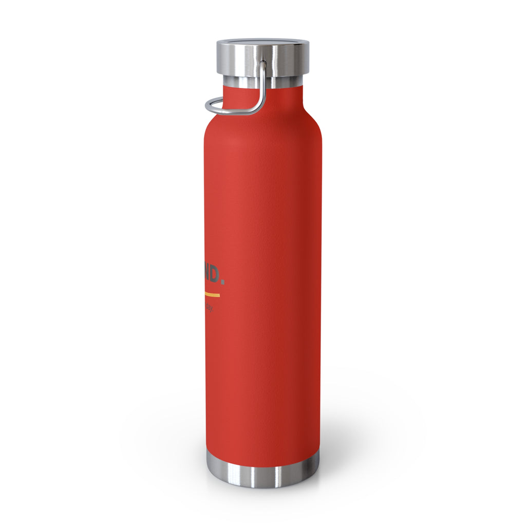 22oz Insulated Water Bottle — “Be Kind. Every damn day.” Motivational Stainless Steel Bottle