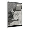 Custom Acrylic Prints - Pet Portraits, Home Decor, Gift Ideas, Wall Art, French Cleat Hanging