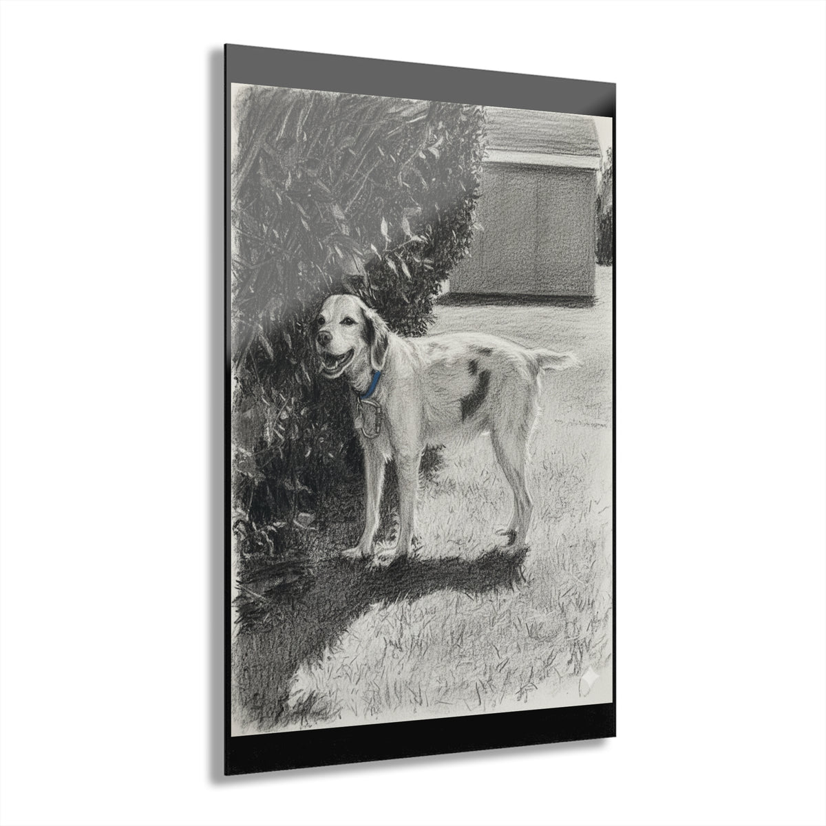 Custom Acrylic Prints - Pet Portraits, Home Decor, Gift Ideas, Wall Art, French Cleat Hanging