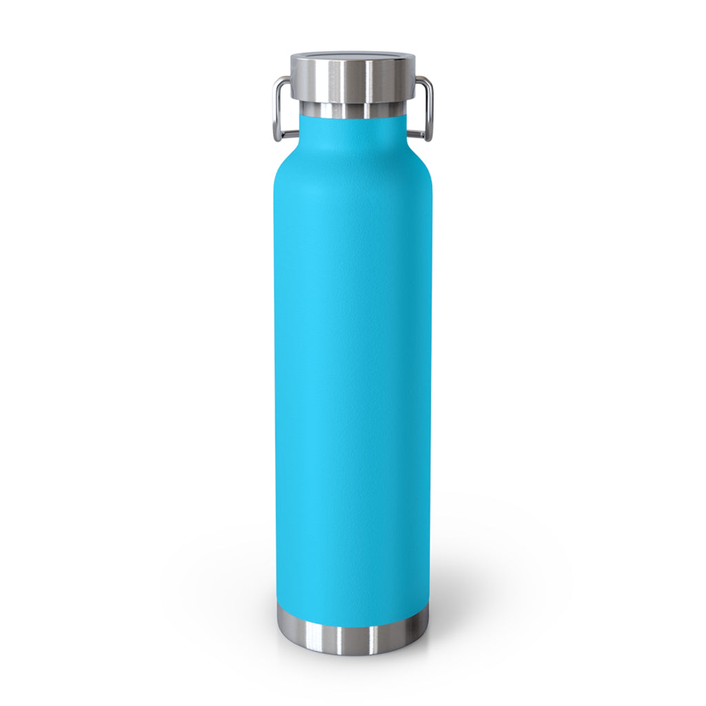 22oz Insulated Water Bottle — “Be Kind. Every damn day.” Motivational Stainless Steel Bottle